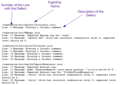 Output from gradingtier: Line number, path/filename, description of defect