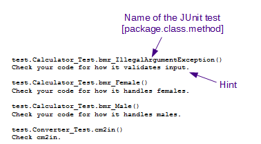 Output from gradingtier: A terse hint follows each JUnit test name