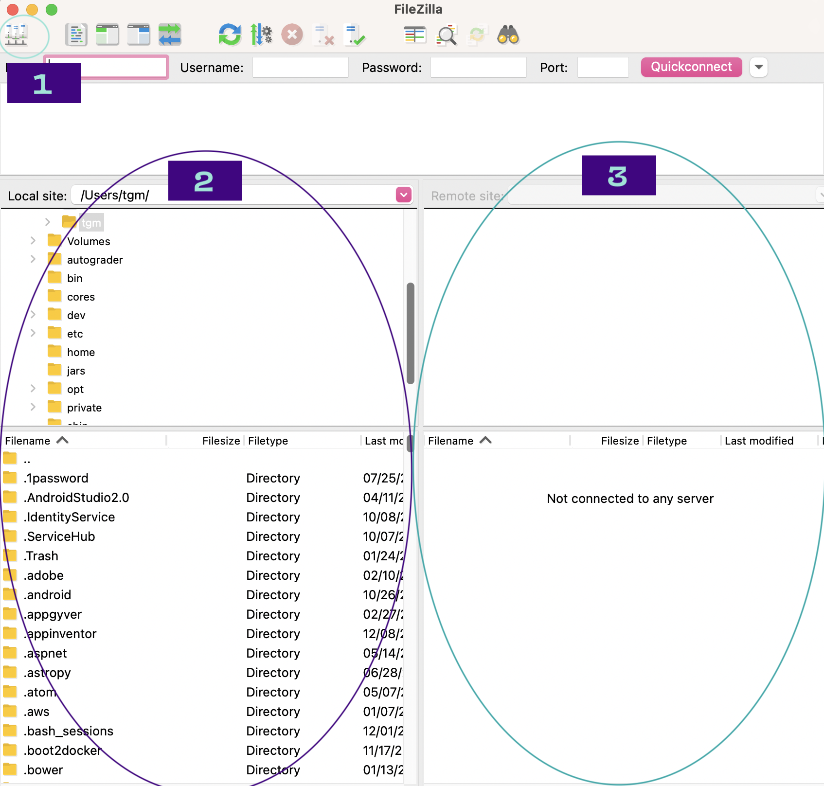 Screenshot of FileZilla with circles around areas 1, 2, and 3